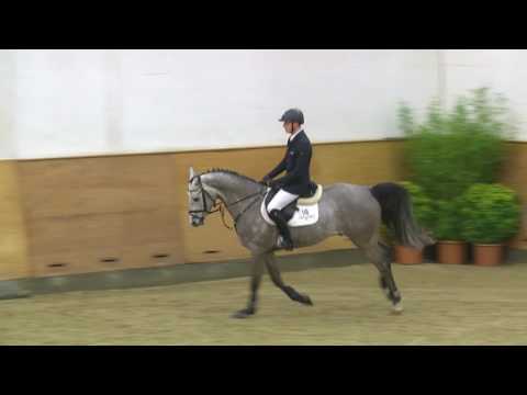 116. Cool to be Crazy v. Clarimo - Corrado II