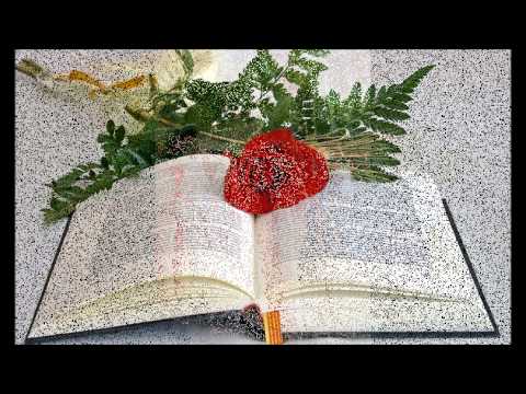 Evangelio del día 18 11 14