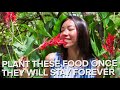 Top 6 Plants To Grow Forever Top 6 Plants To Grow Forever