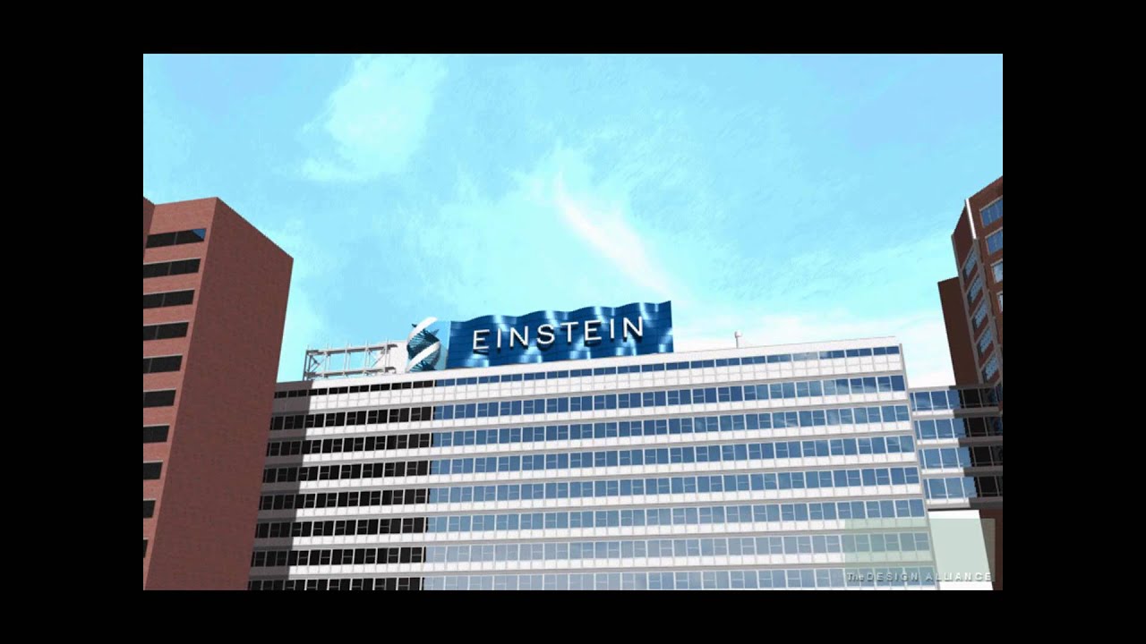 Einstein Screen Wall Final