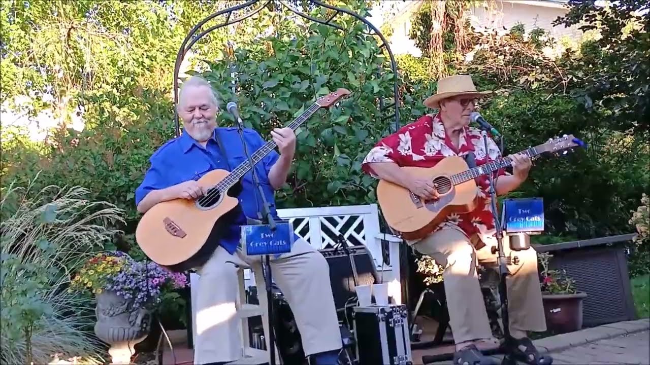 Promotional video thumbnail 4 for Two Grey Cats