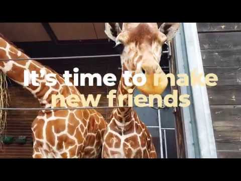 It's time to visit Copenhagen