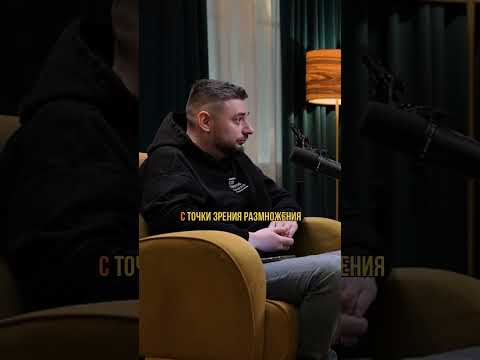 Уникальная особенность гепардов | Михаил Никитин #наука #биология #эволюция #человек