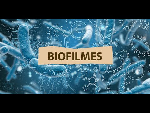 Biofilmes: o que são? quais problemas eles causam?