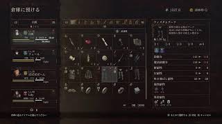[白虹GAMES]さあ、選べ[Dragon's Dogma2]#2.5