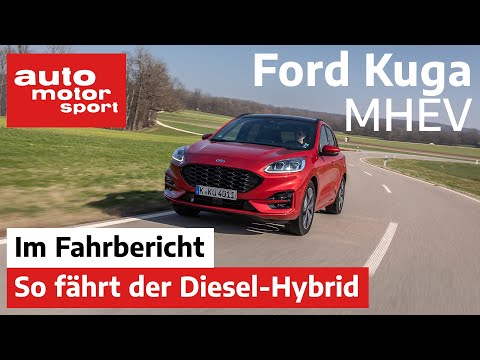 Ford Kuga (2020): Mit Hybrid weiter erfolgreich? – Fahrbericht/Review | auto motor und sport