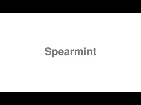 How to Pronounce "Spearmint"
