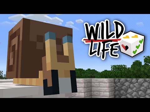 If Not Friend, Why Friend Shaped? | Wild Life: Episode 3