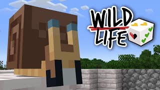 PearlescentMoon's recent Youtube video thumbnail