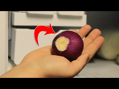 For THIS REASON you should put Onions in the Freezer 💥 (AMAZING) 🤯