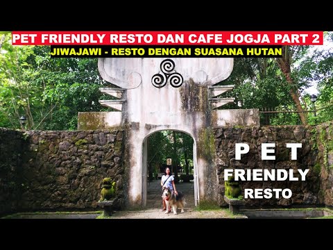 JIWAJAWI - Pet Friendly Restoran Dengan Suasana Hutan di Jogja