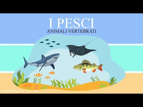 I pesci - Animali Vertebrati
