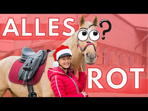 ALLES IN ROT!♥️ oder doch nicht??🤔