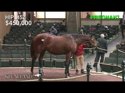 Southern Ring (hip 452) sells at 2021 Keeneland January for $875,000