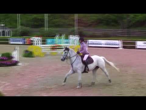 Video of ZILVER POMME VDL ridden by HANNAH TAYLOR from ShowNet!