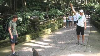 Monkey in the Middle