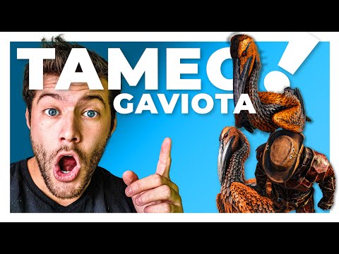 👉Cómo TAMEAR un ICHTHYORNIS🦢 en ARK🦖 || PC 💻 PS4 🎮 XBOX || 2025 Para EMPEZAR (SUPER FACIL)