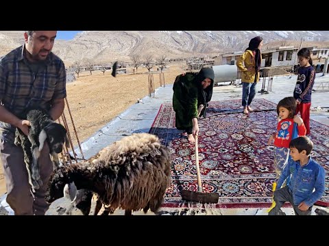 A new ewe 🐑 with her lamb in Sakineh's house: Khosrow's love, the children's happiness