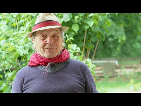 Gehaltsverzicht und Gewaltverzicht