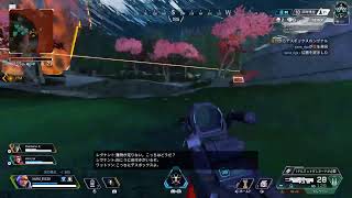 今日はソロでこそこそとapex