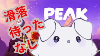 【PEAK】ぼっち入山・・飲酒・・何も起きないはずもなく・・・