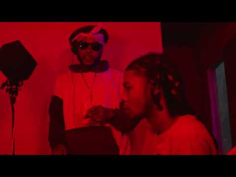 Wildlife Pettodene - Stay High (VSR Visual)