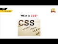 HTML CSS Tutorial Series