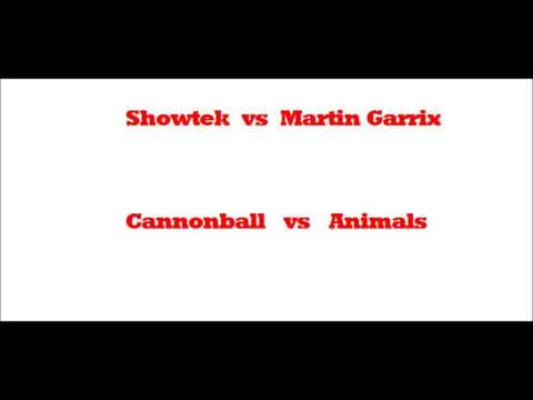 Showtek vs Martin Garrix (Cannonball   Animals) by XDj'S