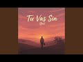 Tu Vas Sin (Fav) (Cover)