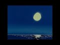 Wilco Impossible Germany Slowed
