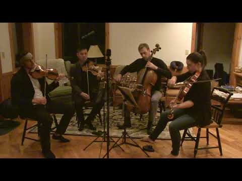 Jacob Collier - Piano Improvisation (Arrangement for String Quartet)