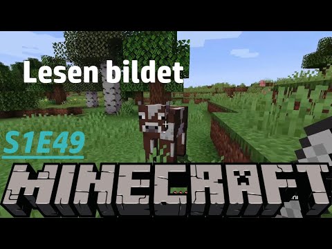 MInecraft (Vanilla) [S01E49] - Noch mehr Bücher brauch das Land
