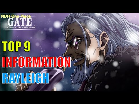 TOP 9 thông tin thú vị nhất về Silvers Rayleigh - cánh tay phải của Vua Hải Tặc | NDH One Piece
