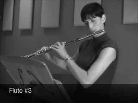 Nina Perlove vlog: 10 Flute Demonstration ROUND TWO