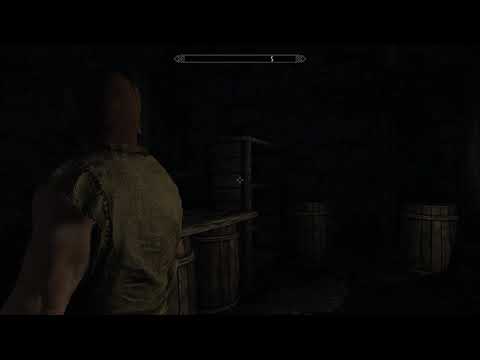 Entire game running SUPER fast :: The Elder Scrolls V: Skyrim 
