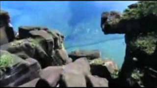 offical video roto por ti robi draco rosa