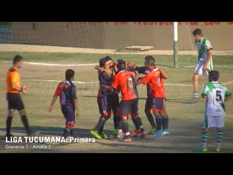 LIGA TUCUMANA (Segunda fase): Amalia logró un triunfazo en su visita a Graneros