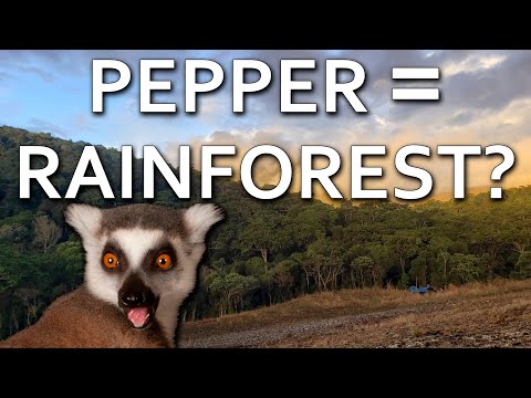 How Your Dinner Could Save Madagascar's Rainforests