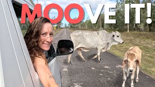Unforgettable! Wallaman Falls Queensland | Solo Van Life Travel Australia