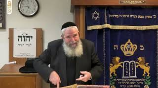 הרב יגאל לרר | מסכת בבא קמא | מחלוקת הראשונים בדין מכליא קרנא | ח' טבת תשפ"ו | ישיבת מרכז הרב (ישיבת מרכז הרב) - התמונה מוצגת ישירות מתוך אתר האינטרנט יוטיוב. זכויות היוצרים בתמונה שייכות ליוצרה. קישור קרדיט למקור התוכן נמצא בתוך דף הסרטון