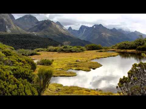 Storex & Hamz - The Resurrection (Damian Wasse Remix) [Silent Shore]