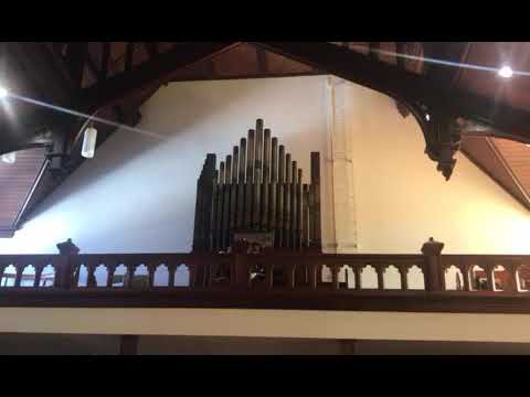 Roosevelt Organ Video
