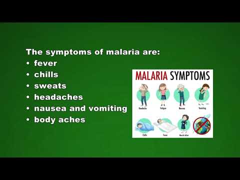 Life Science grade 9. The life cycle of the malaria parasite