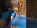 Play video