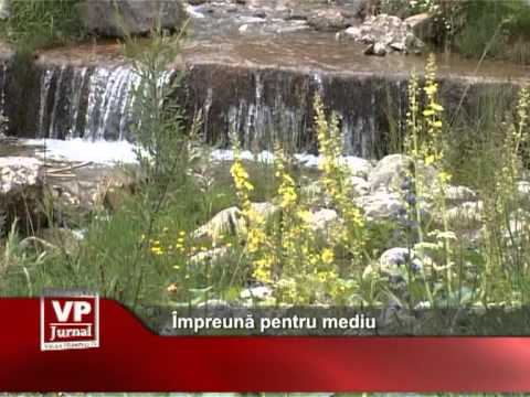 Împreună pentru mediu