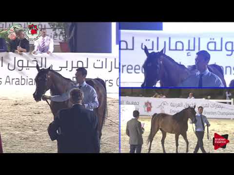 N 201 SUHAILA AL ZOBAIR   Emirates AHBC