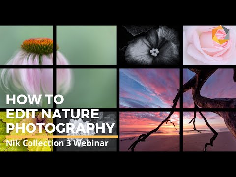 3 Different Creative Nature Photography Workflows with Nik Collection by DxO