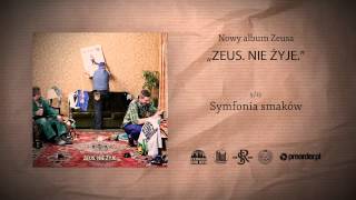 Kadr z teledysku Symfonia smaków tekst piosenki Zeus