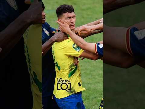 Sundowns Players Abused #fairgameplay #football #sundowns