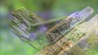 EMBRACE - YOU'RE NOT ALONE - A LYRIC VIDEO